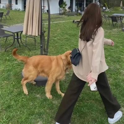 曾经的兄弟